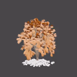 Maple tree with rocks