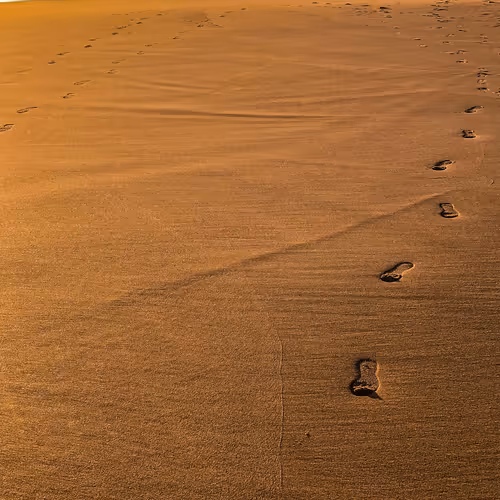 Into The Beach