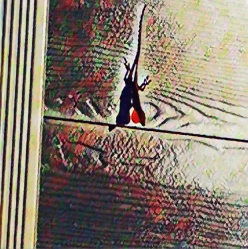 Item #6822172971026890418880562505450227759252596580722353794181564531686143688705 Media