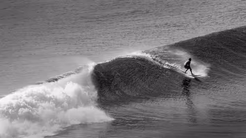 Item #97299197670576688169135242576959850036431919373710156993917717274201721667585 Media