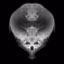 85859191866638808365331437874953228966785819470149775310971061914614622060545