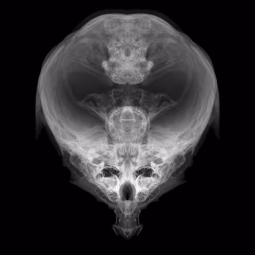 Item #85859191866638808365331437874953228966785819470149775310971061914614622060545 Media