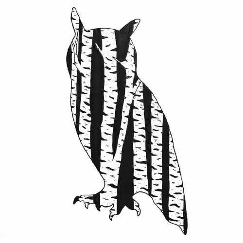 Day 1 - Owl in the Woods #3