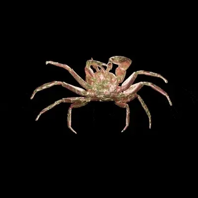 Item #105765653970510533122289953890677374467333873258090426512252849598218232659969 Media