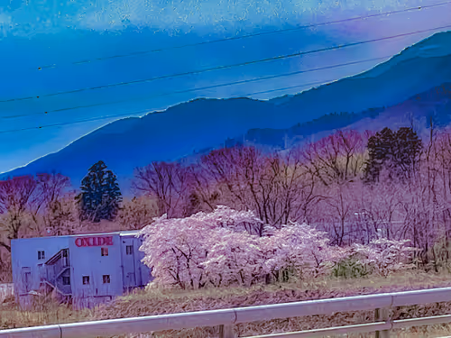 Item #26309083901545567454709889211670292098627789932924015051489478900901308530693 Media