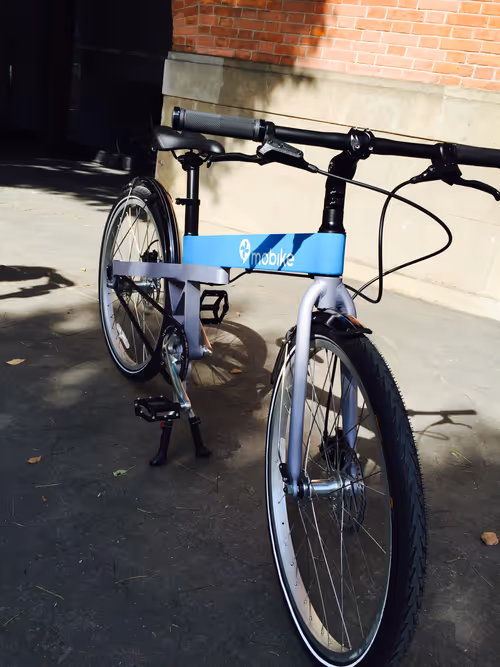 Item #21959967969712135165528647313744503918322719332084178647329757727137579663361 Media