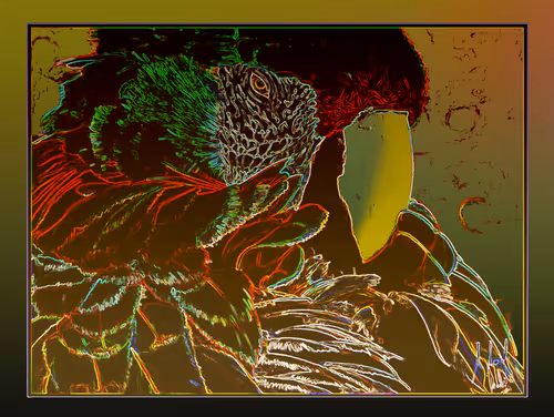 Item #20621945179891193764589773501353900658729707764810051975031089719400235794433 Media