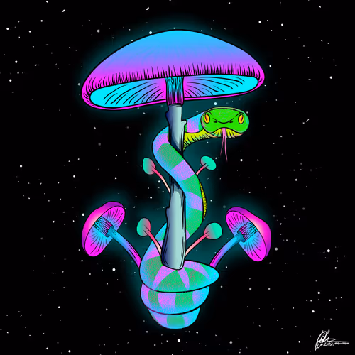 Item #57941255445620779425959250038654691890070187567565923896778048096799735939077 Media