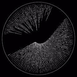 codex -1142250422.