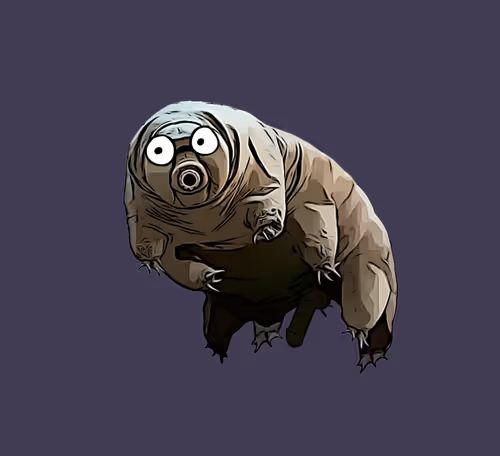 Item #86202550248586517642199010531110464804800601482172909858196685648925518987265 Media