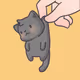 Muji Muji cat