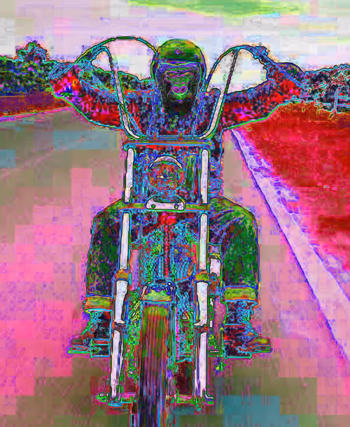 Item #86966113793369050127091850032642395415766610546514220273064902179815231062017 Media