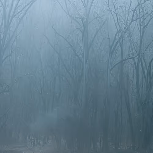 Peer Through the Veil