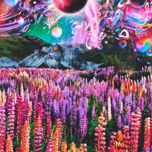 Found My Utopia Collection BZnXEQH4h9