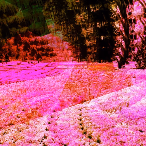 Fields