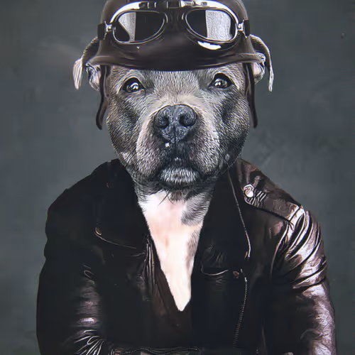 Biker Charley