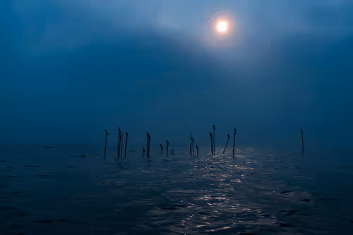 World Thru My Lens (Travel & Landscape)