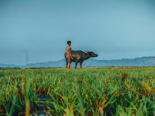 Item #28483083615204022371300351477704581571274768988091129970329682110955185504257 Media