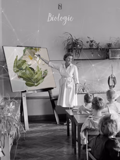 Item #108668817936045691524747504051771570061315957677408439167865728272818491097089 Media