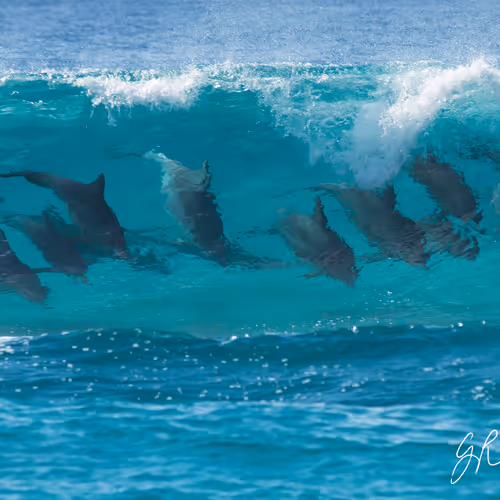 Coastlifephotography
