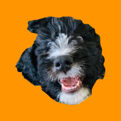 Orange Ponce