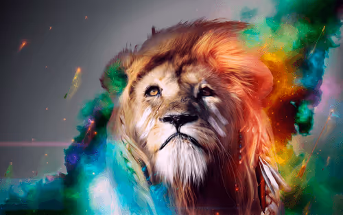 Untitled Collection #3658585005