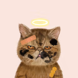 63588752515642770477067191287288803913526852218898202821012584597927921451009