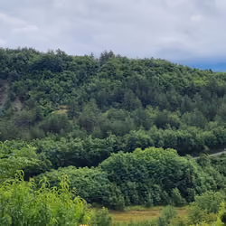The smallest town in the world: Hum, Croatia #12