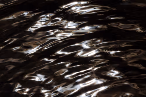 Item #81441334517361708208394031135700195474624799851237506988747108078847411617793 Media