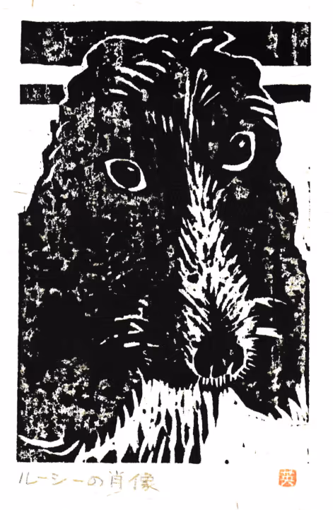 Item #575234284074708751843107369088639927866865031899823238383348541511822213121 Media