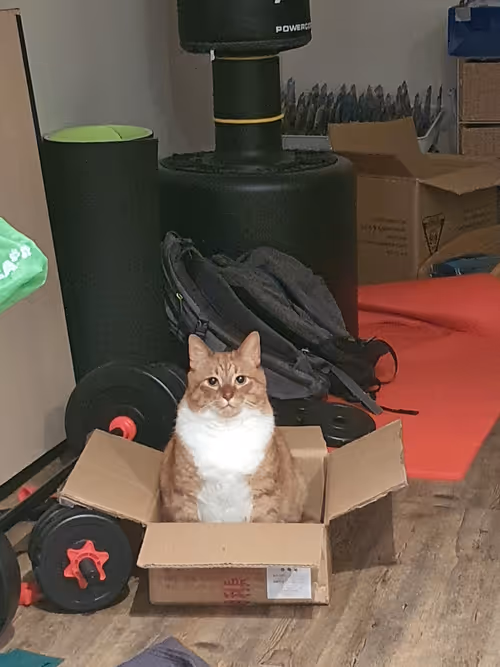 Item #46657726102169276755799534119098829083994315386415081064984140632959163039745 Media