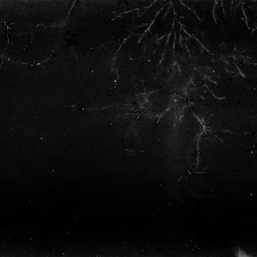 Lifeincelluloid
