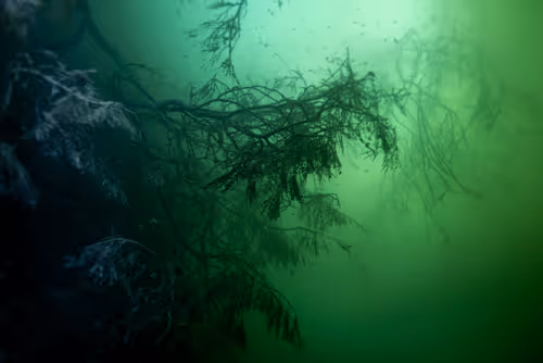 Item #25422583313571458459737529461820134862175223810011730482418987914547420987393 Media