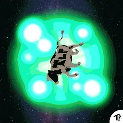Abducted Cow