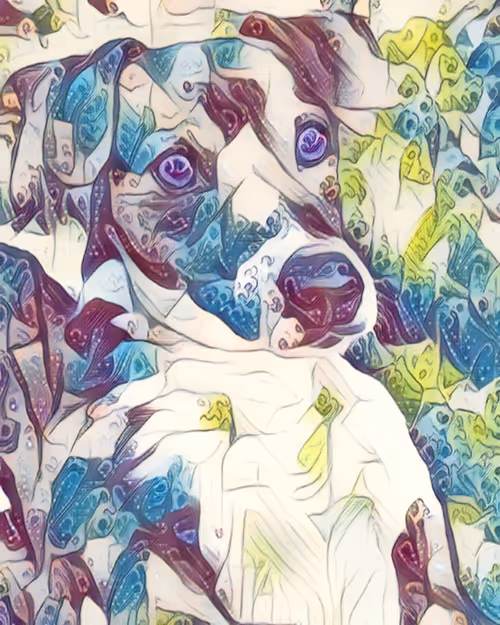 Item #78130481310736811720699625513350459712197011297885855401872198811936358400001 Media