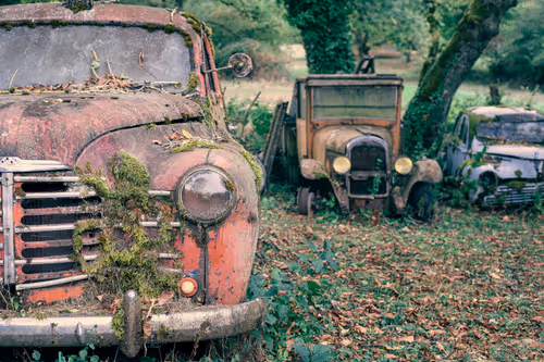 Item #48137969834760964202008615445069010109172114455099533143483873216922642284545 Media