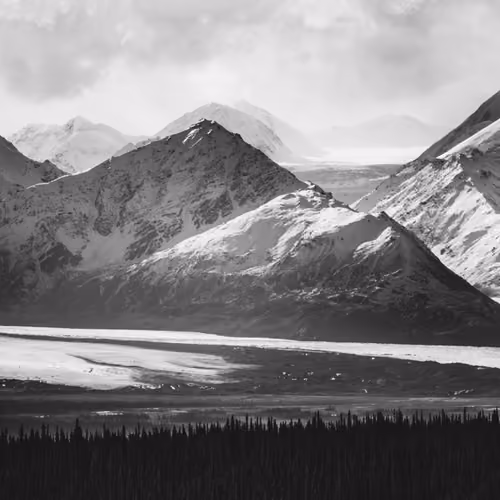 Wild Alaska #3