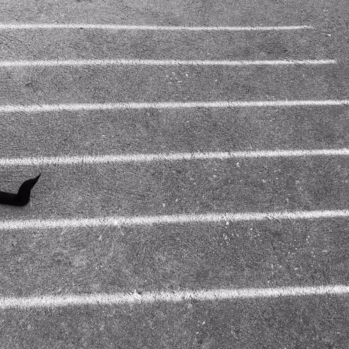 Item #56431751608181922231259635946092067407977788553703326303680802273367339040769 Media