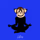 Joanln Collection - old - SVWJvnacp0