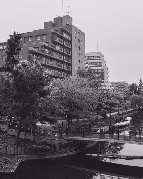 Item #95633765474931350240165697288740384276668175365753332134829565080540490498049 Media