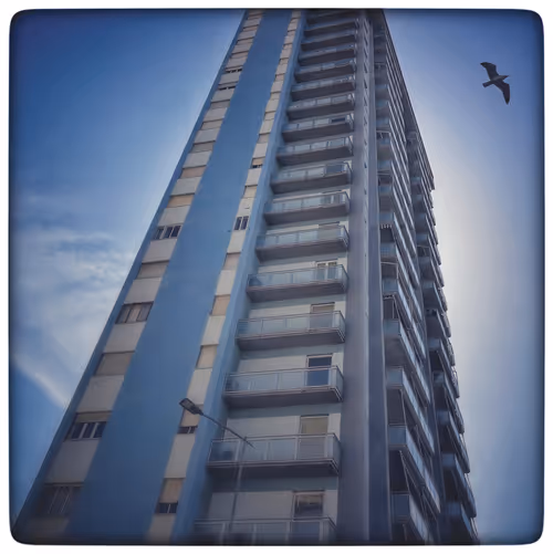 Item #115063816418514951154258762127288984100481774672699272562835740872537433702401 Media