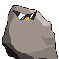 Pudgy Rock 95