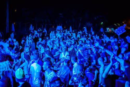 Item #28410794678939122859492626871196116087705428262137093470030241717437320921089 Media