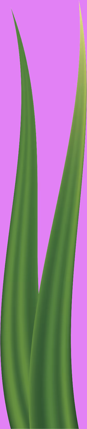 Item #78763235517899702300642317908544281341520076745003203023483946002704309944321 Media