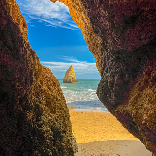 Into The Beach