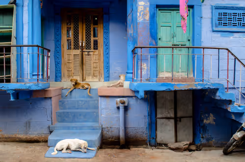 Item #35789781661993386733084734254910777267246199901164676810473341281134895431681 Media