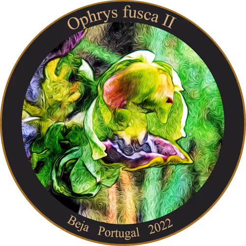 Item #83346383481971607988729477170446348570292642791419063456680174223169645707265 Media