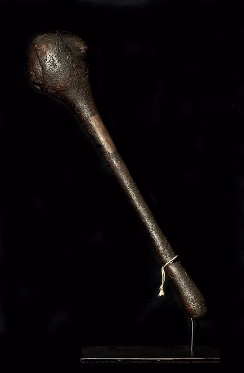 Item #13054743461556892059086844820140622319047360899879579049167545327237510201345 Media