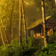 golden_hour