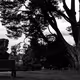 Public Ocular Voyeurism